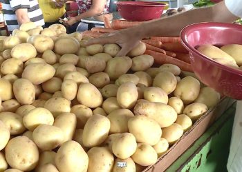 IPCA-15: preços sobem 0,31% em janeiro, puxados pelos alimentos