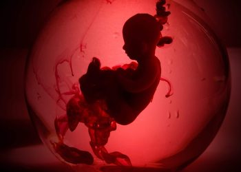 Médicos operam coração de feto dentro da barriga da mãe em hospital no RS