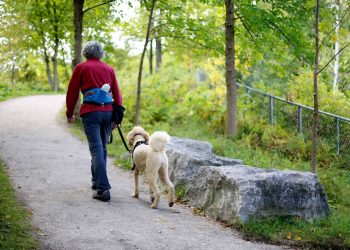 Detalhe na sua caminhada pode antecipar risco de Parkinson, diz estudo