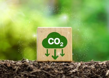 Microsoft compra 3,6 milhões de toneladas em créditos de remoção de carbono