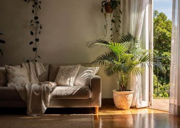 Casas com essas 5 plantas parecem sempre mais frescas no calor