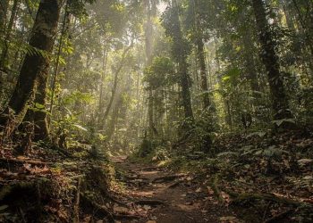 O maior sucesso de “Bio-Engenharia” do planeta fica no Brasil (e você provavelmente já visitou)