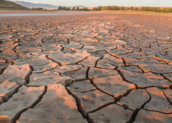 Perdemos água doce suficiente para suprir as necessidades de 280 milhões de pessoas