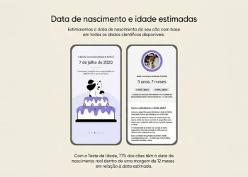 O teste de DNA que revela a idade exata e a árvore genealógica completa do pet adotado