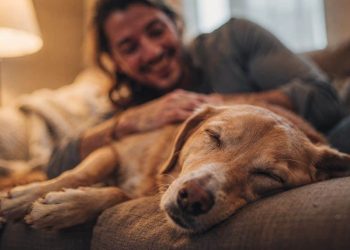 A descoberta sobre os sonhos dos cães que indica que os donos são a parte mais importante da vida deles