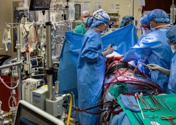 O ‘pulmão artificial’ que manteve paciente vivo por dias até transplante