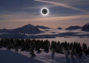 Eclipse solar “Anel de Fogo” pode ser visto no Brasil?