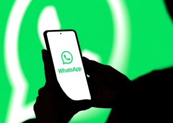 WhatsApp prepara mudanças de privacidade para jovens no Brasil