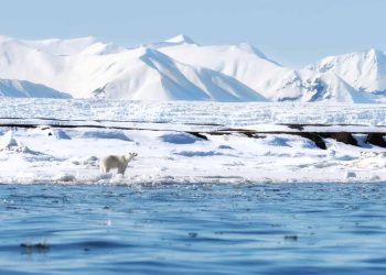 Europa aposta em cabo de internet no Ártico para evitar riscos no Oriente Médio