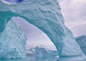 Icebergs revelam “novos mundos” no fundo do oceano