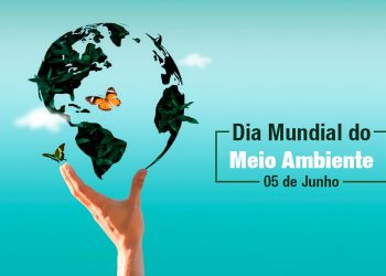 Dia Mundial do Meio Ambiente: a complexa rede de acordos e tratados internacionais