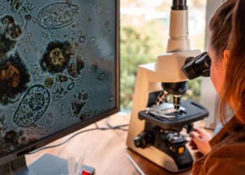 Célula sintética em laboratório desafia a fronteira entre o vivo e o artificial