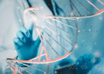 Cientistas identificam linhagens “fantasma” que deixaram DNA no genoma humano