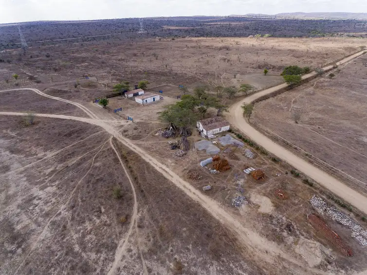 Desertificação do solo avança no Brasil e ameaça cerca de 39 milhões de pessoas
